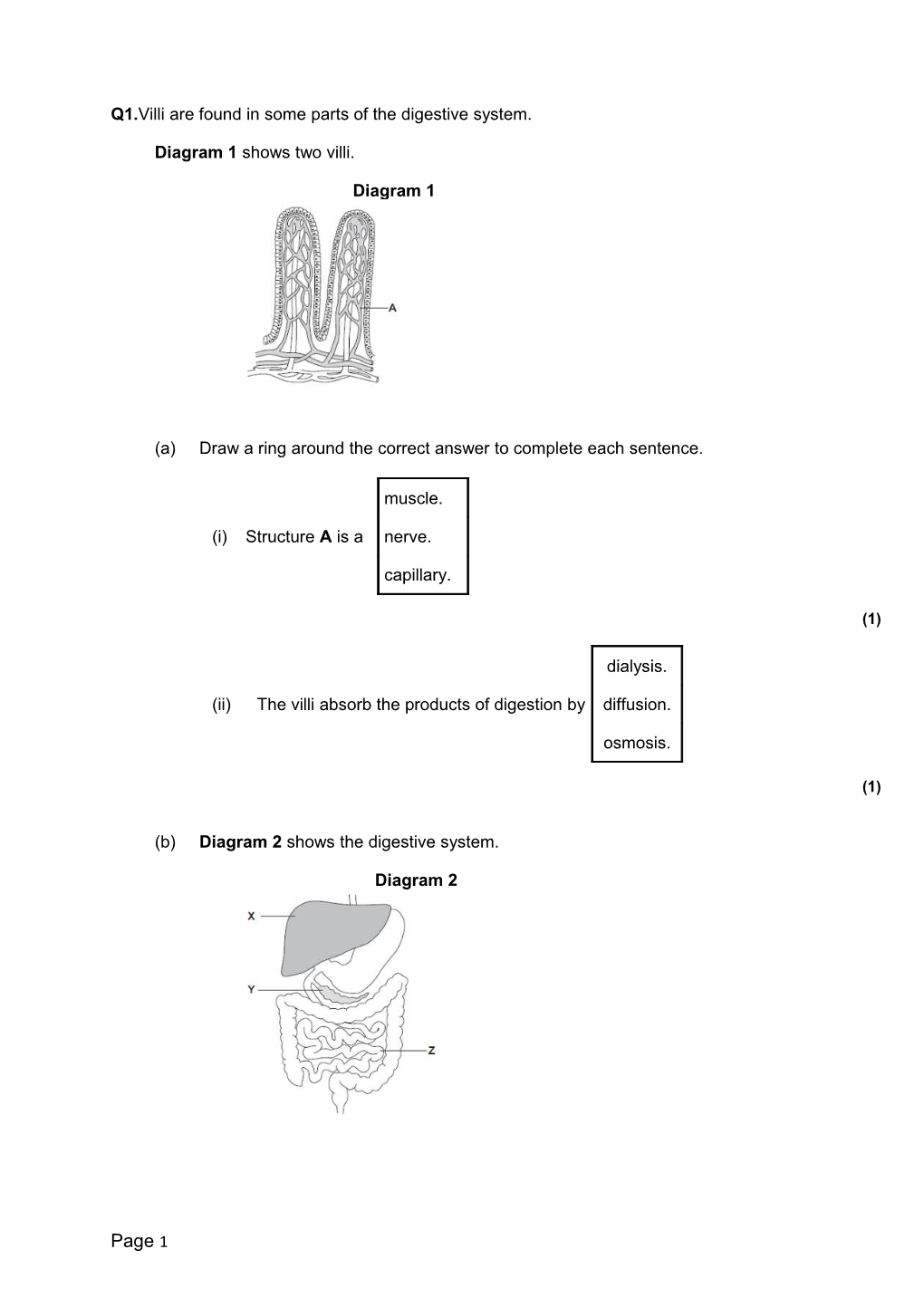 Q1.Villi Are Found in Some Parts of the Digestive System