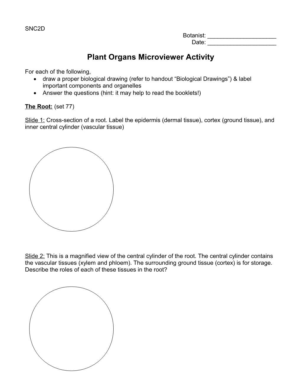 Plant Organs Microviewer Activity