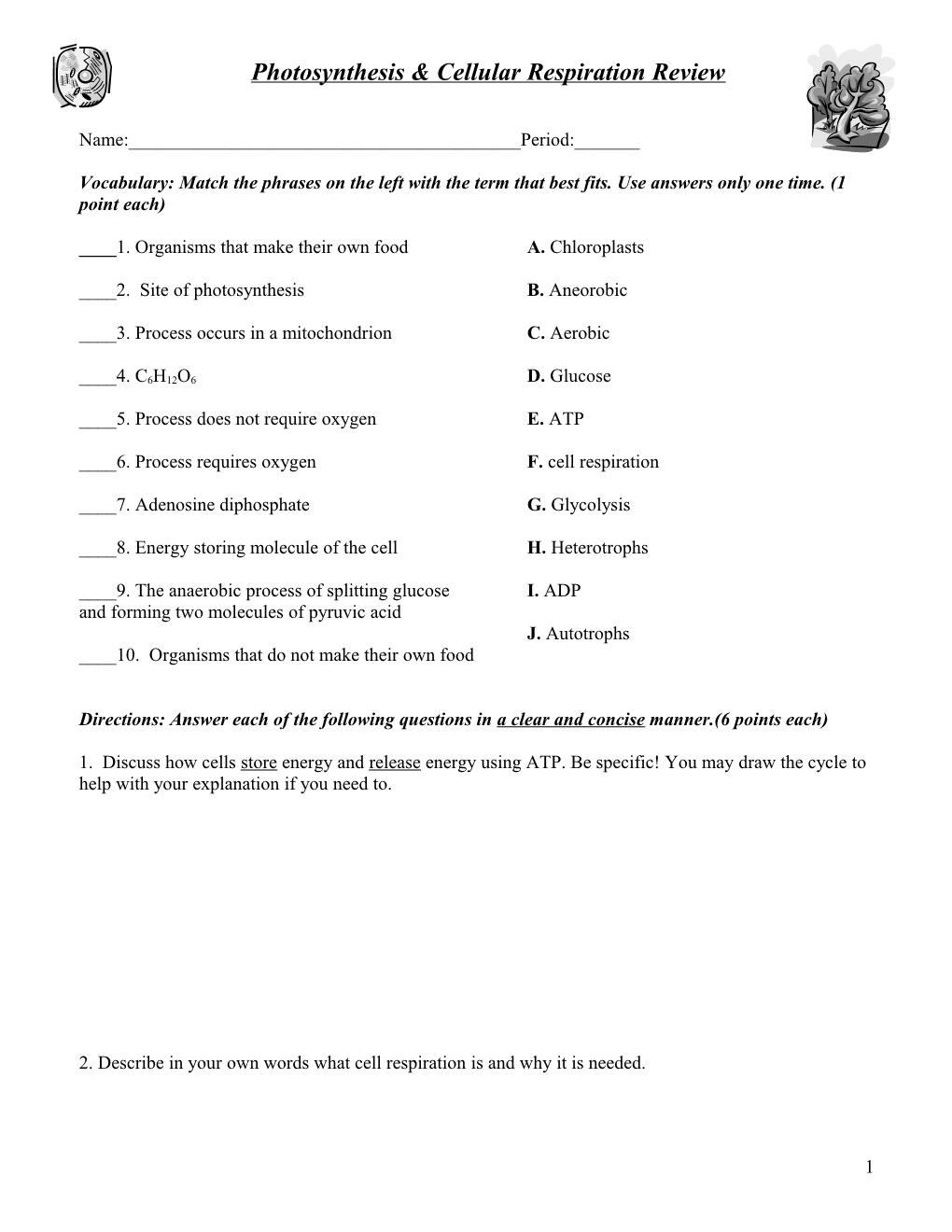 Photosynthesis & Cellular Respiration Worksheet