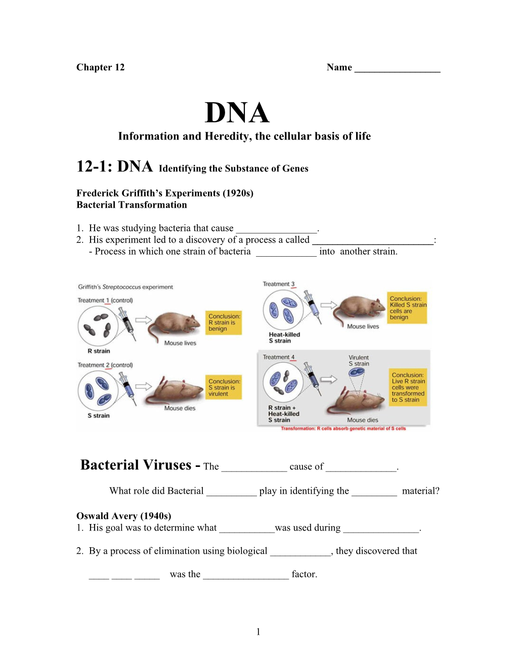 Information and Heredity, the Cellular Basis of Life