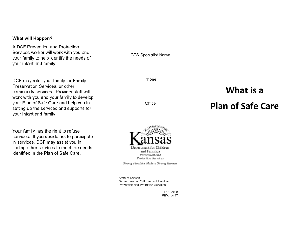 PPS2008 What Is a Plan of Safe Care