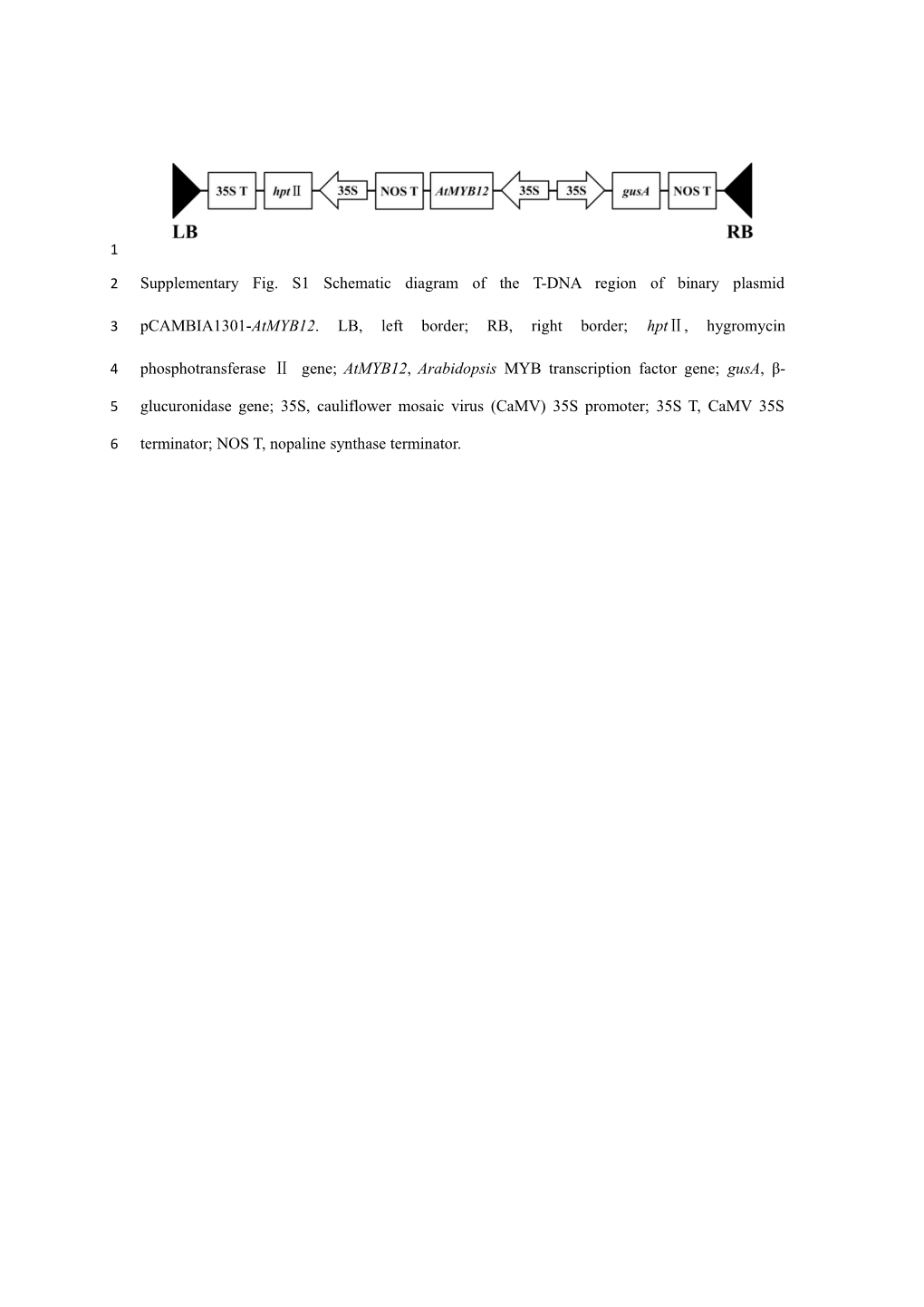 Supplementary Tables1primers Used in This Study