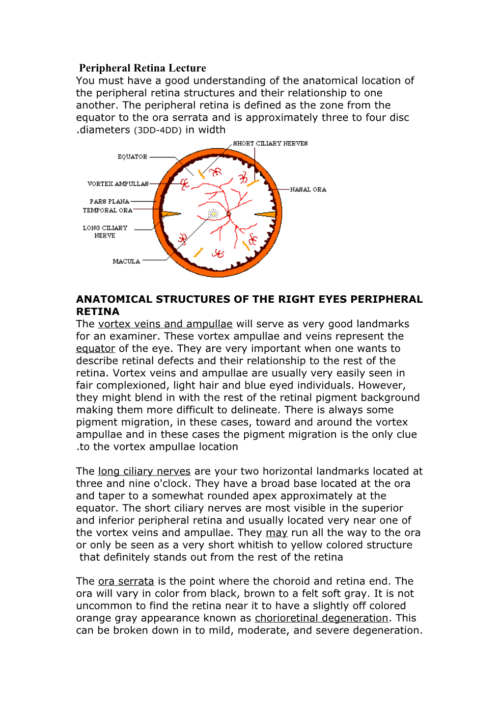 Peripheral Retina Lecture Notes