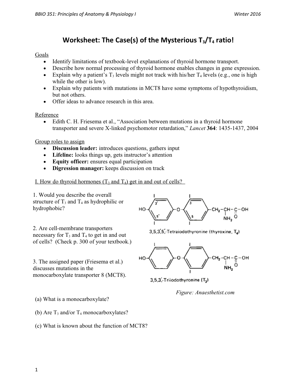 Worksheet: the Case(S) of the Mysterious T3/T4 Ratio!
