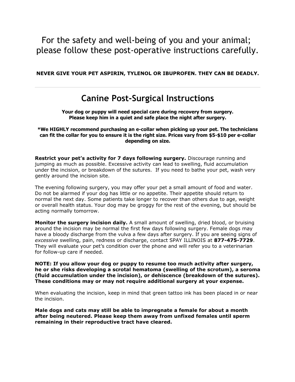 Canine Post-Surgical Instructions