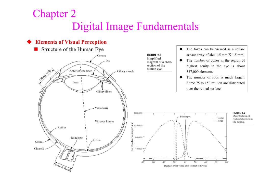 2 Digital Image Fundamentals