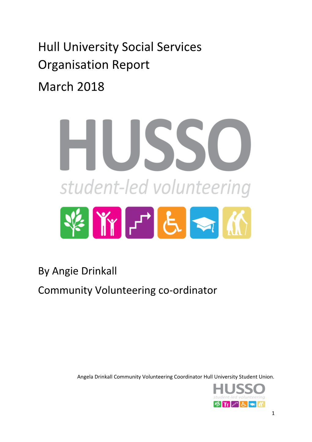 Hull University Social Services Organisation Report