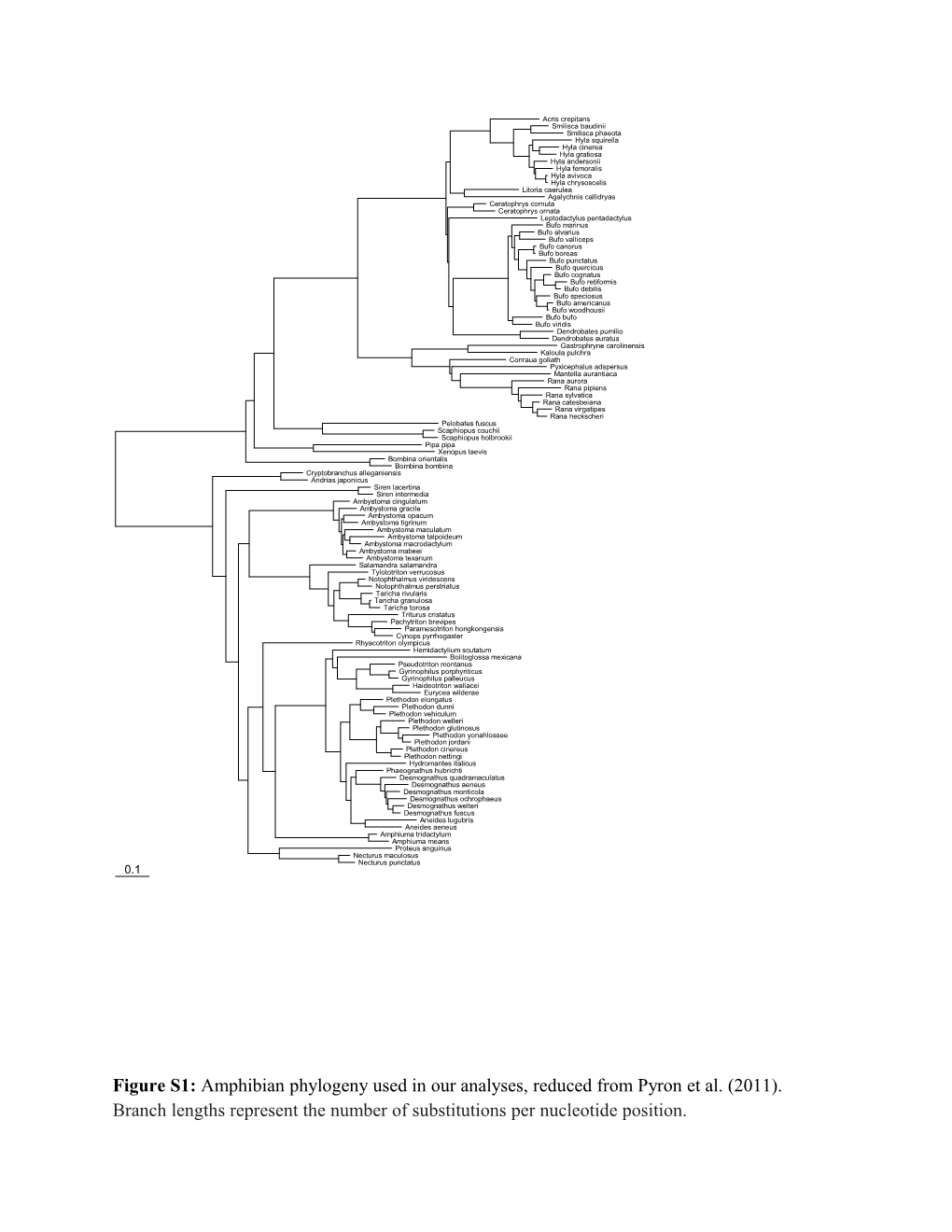 Figure S1: Amphibian Phylogeny Used in Our Analyses, Reduced from Pyron Et Al. (2011)