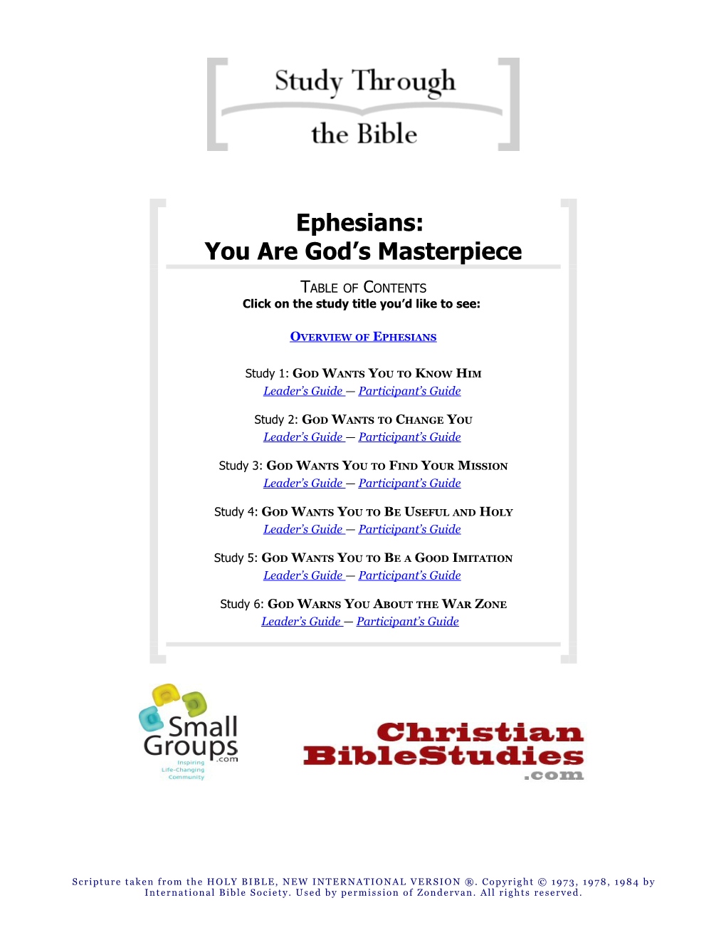 Current Issues Bible Study s2