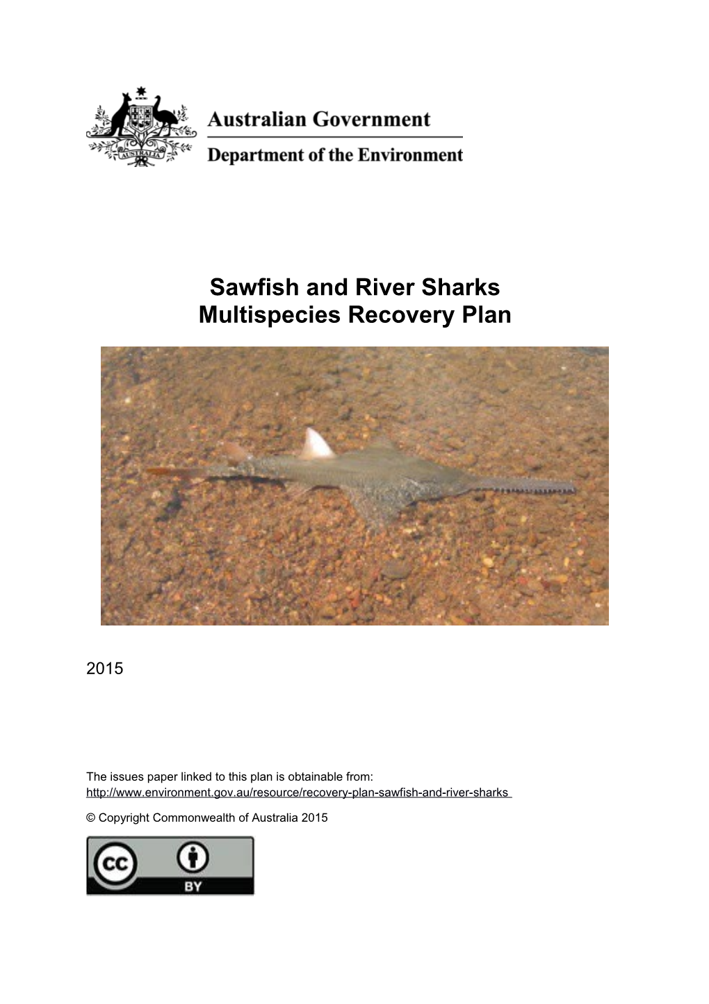 Sawfish and River Sharks Multispecies Recovery Plan