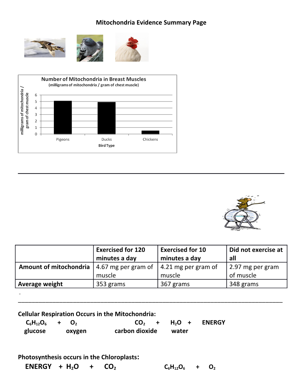 Mitochondria Evidence Summary Page