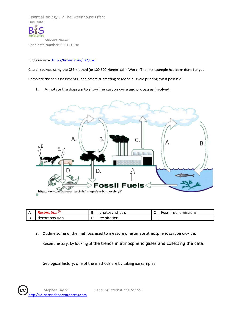 1. Annotate the Diagram to Show the Carbon Cycle and Processes Involved