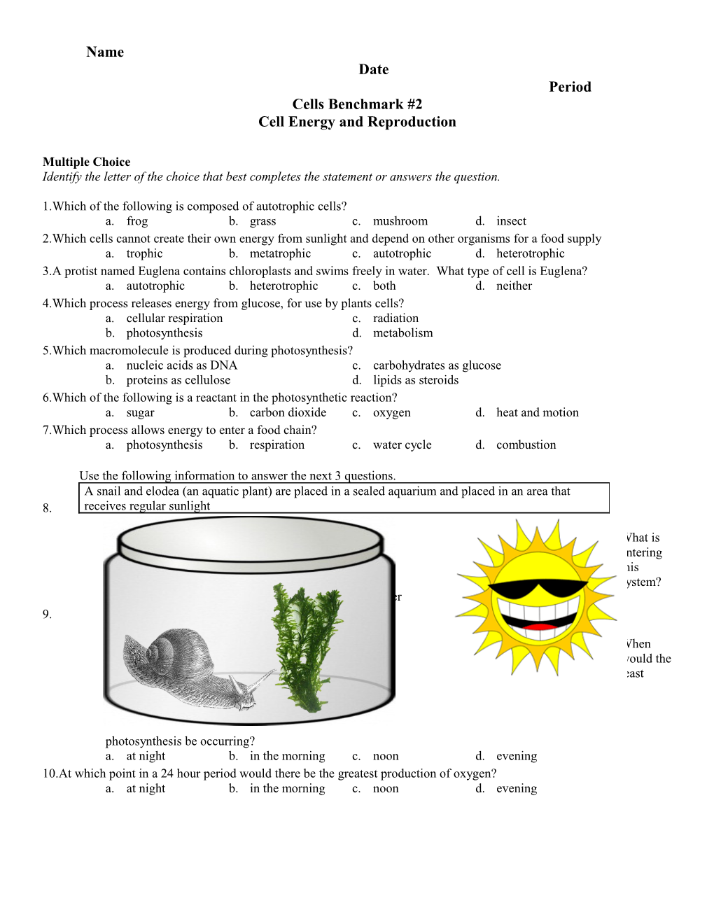 Cell Energy and Reproduction