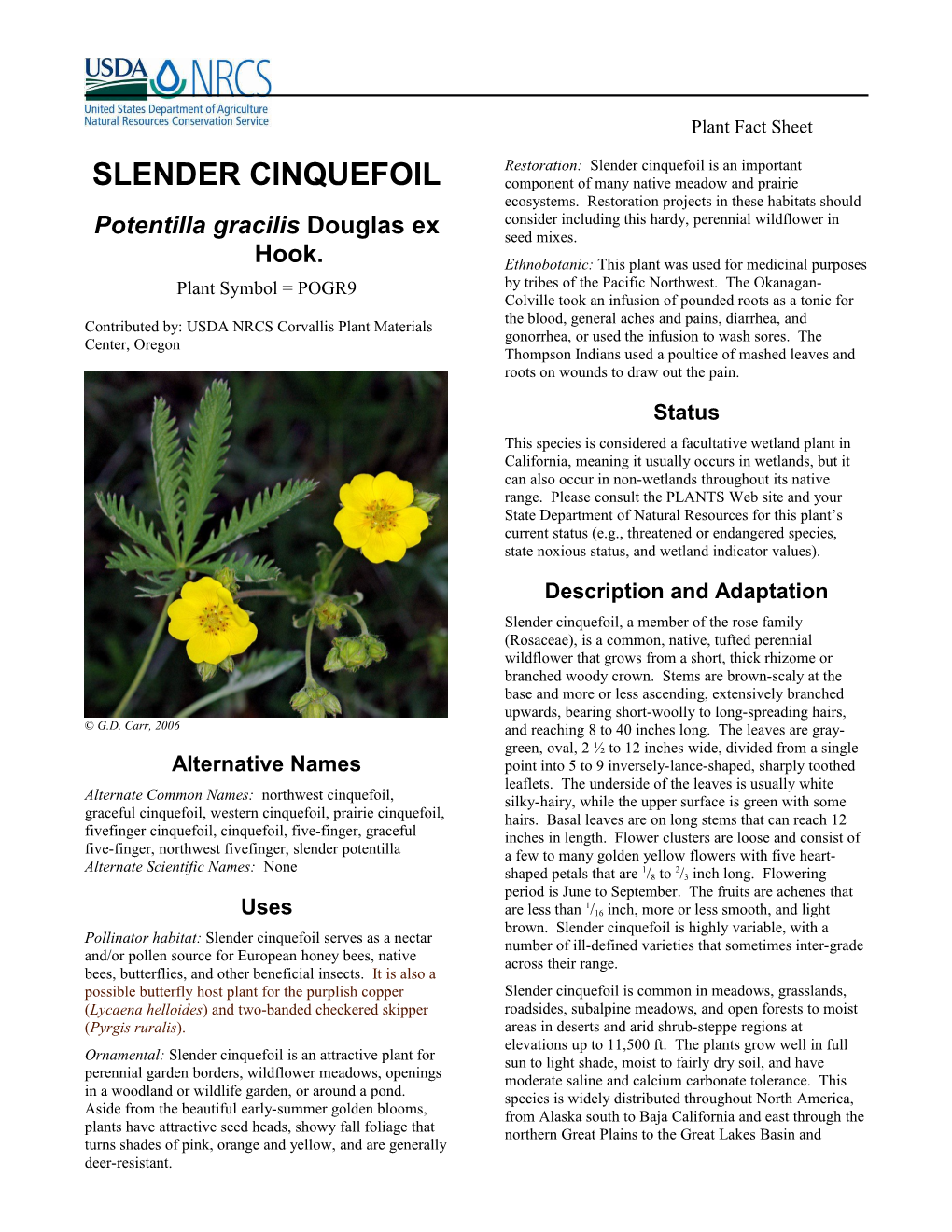 Slender Chinquefoil (Potentilla Gracilis) Plant Fact Sheet