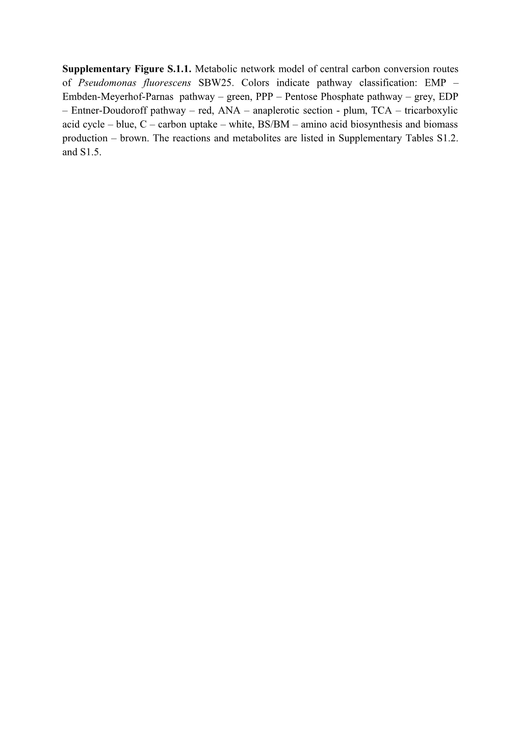 Supplementary Figure S.1.1. Metabolic Network Model of Central Carbon Conversion Routes