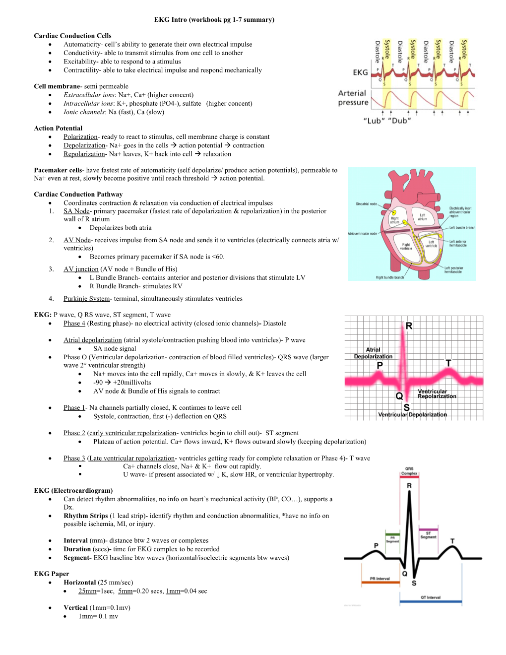 EKG and Interpretation