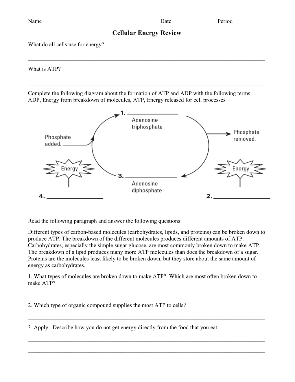 Cellular Energy Review