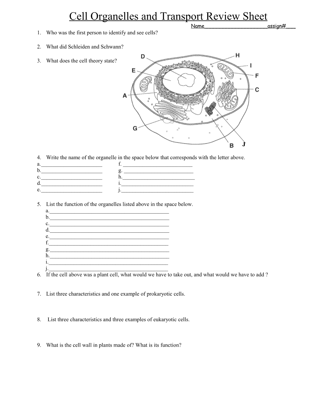 Cell Organelles and Transport Review Sheet