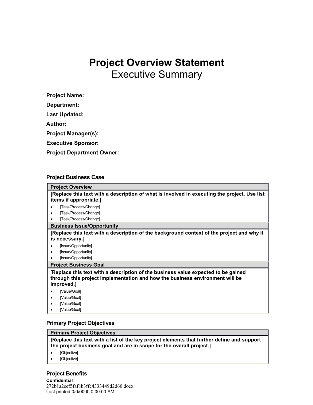 Project Overview Statement Executive Summary s1