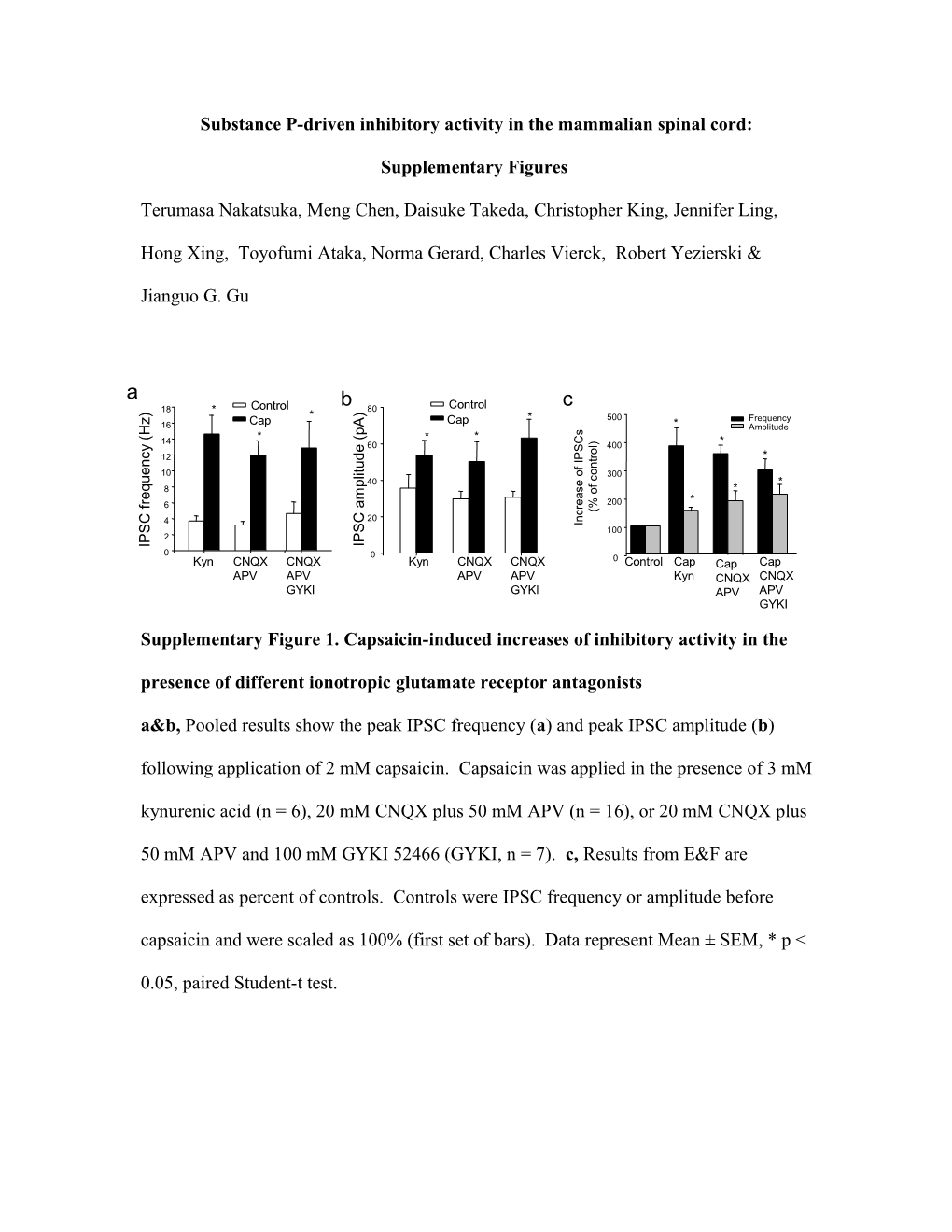 Substance P-Driven Inhibitory Activity in the Mammalian Spinal Cord: Supplementary Figures