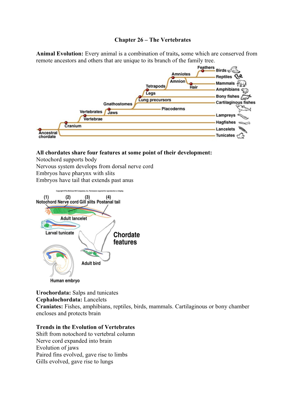 Chapter 26 the Vertebrates