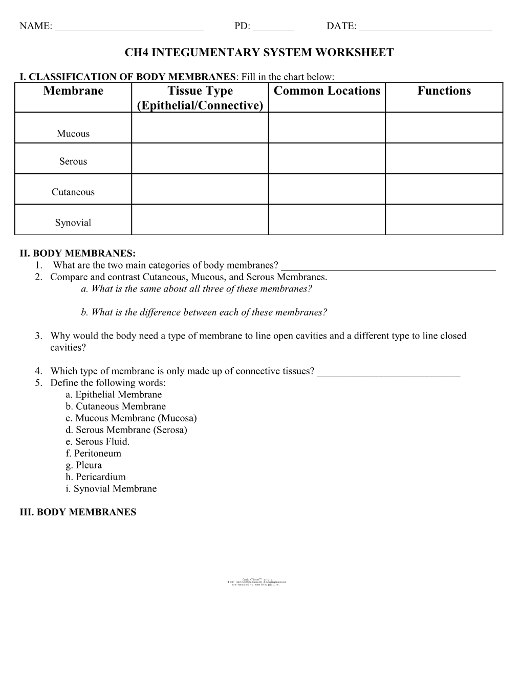 Ch4 Integumentary System Worksheet