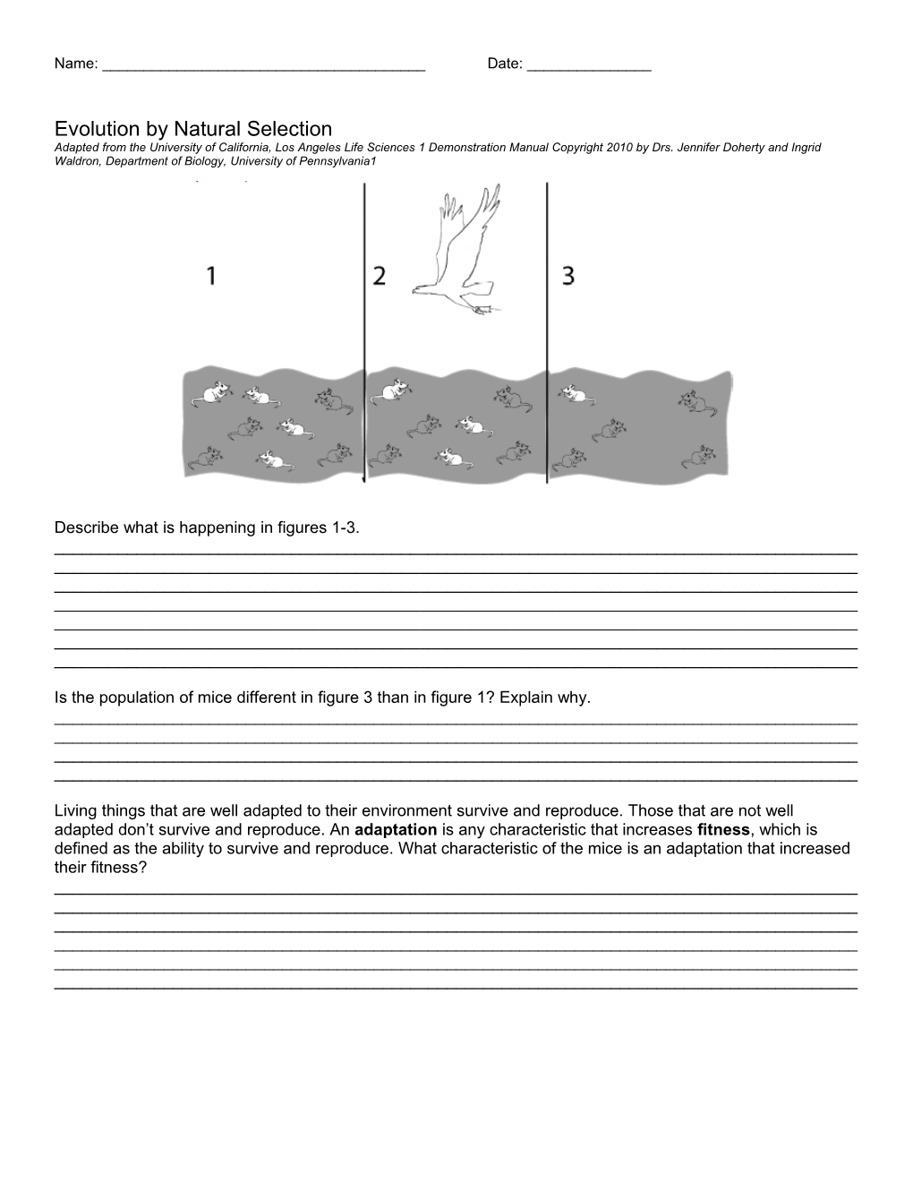 Describe What Is Happening in Figures 1-3