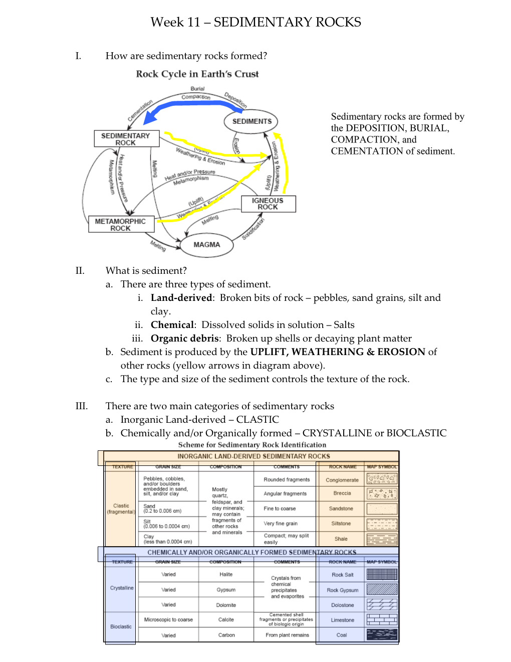 Week 11 SEDIMENTARY ROCKS