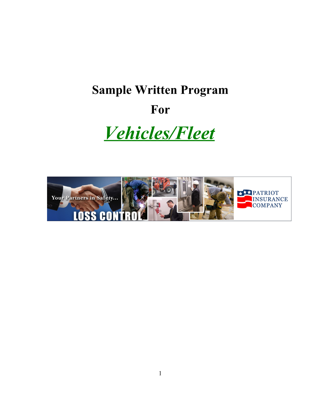 Vehicle Safety Program