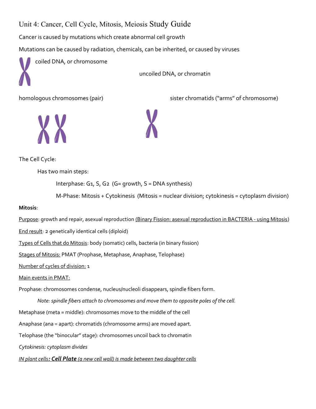 Unit 4: Cancer, Cell Cycle, Mitosis, Meiosis Study Guide