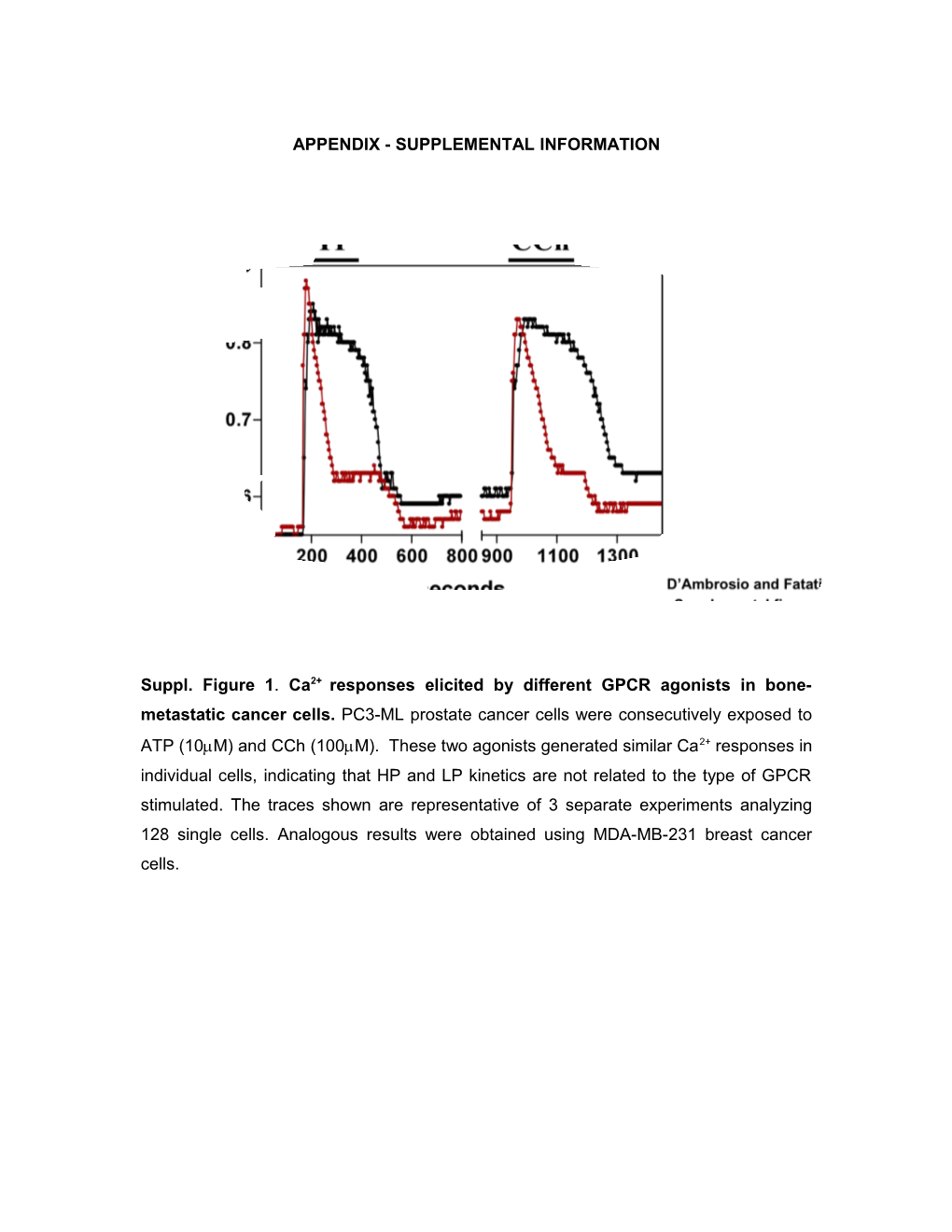 OSTEOBLASTS REGULATE Ca2+ SIGNALLING and Pyk2 PHOSPHORYLATION in BONE METASTATIC CANCER CELLS