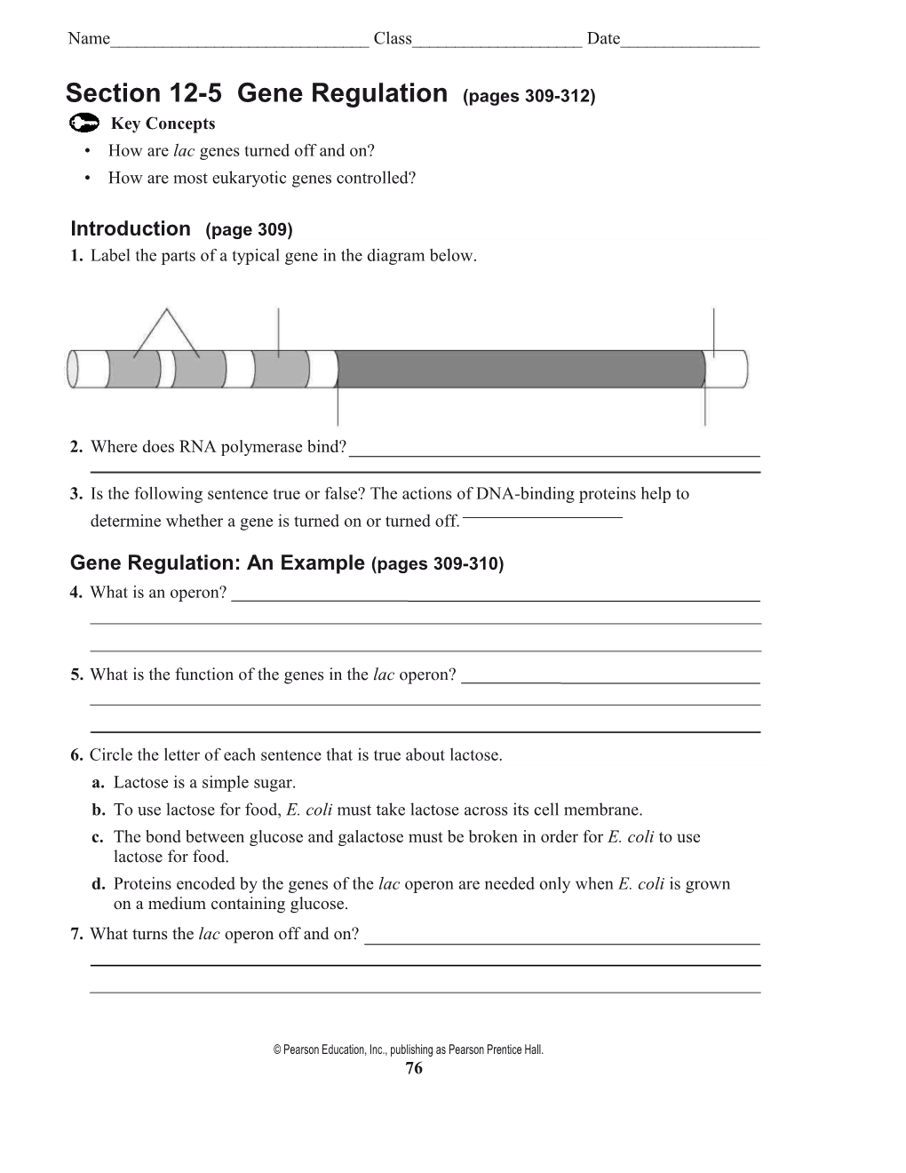 Section 12-5 Gene Regulation (Pages 309-312)