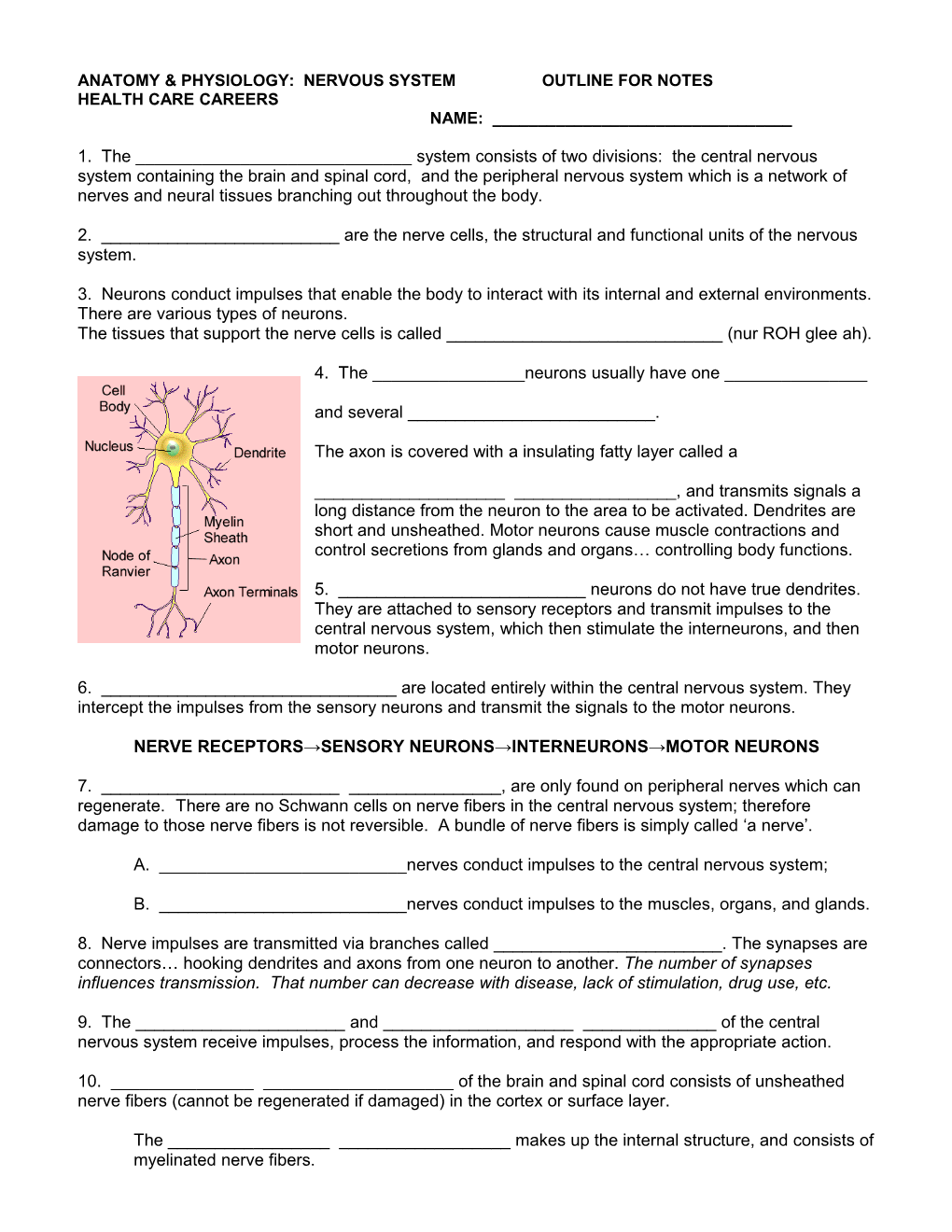 Anatomy & Physiology: Nervous System Outline for Notes