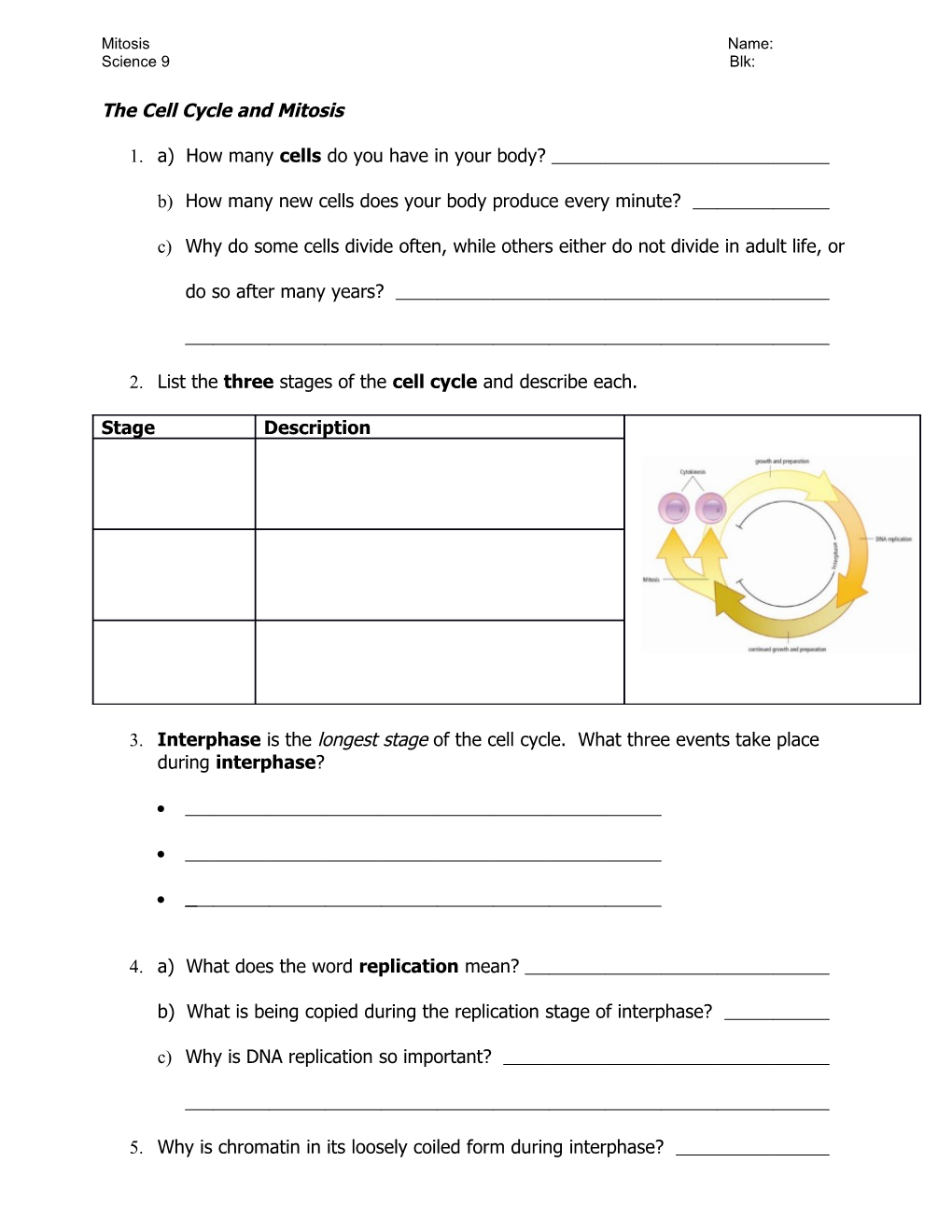 The Cell Cycle and Mitosis