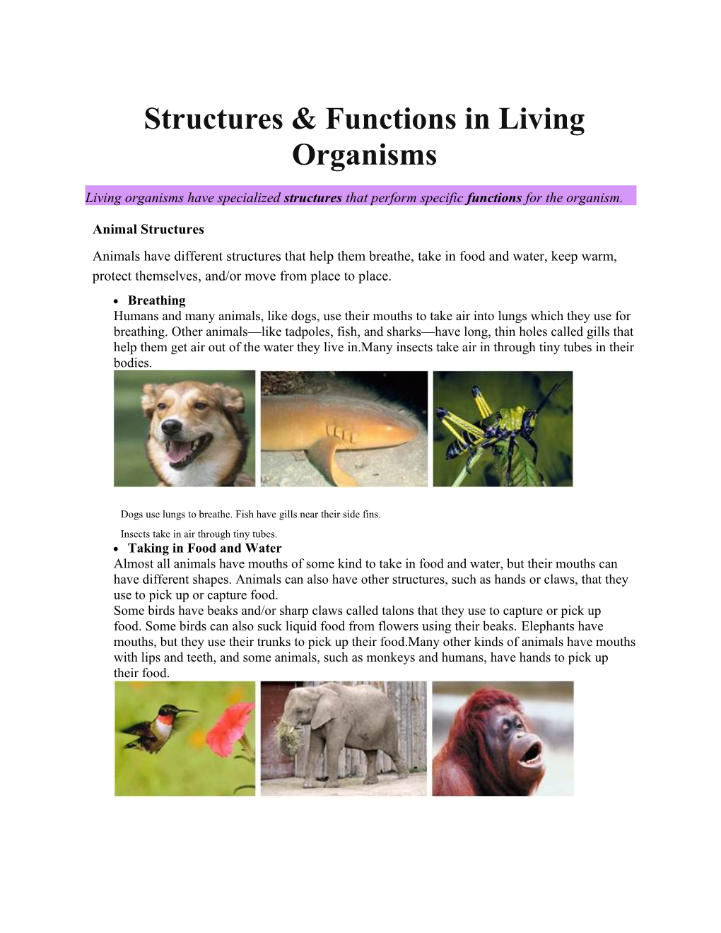 Structures & Functions in Living Organisms