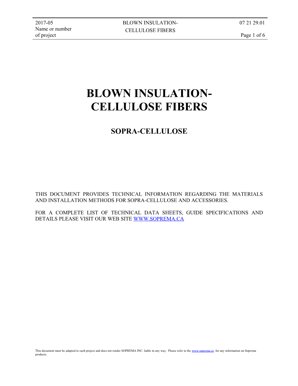 Blown Insulation