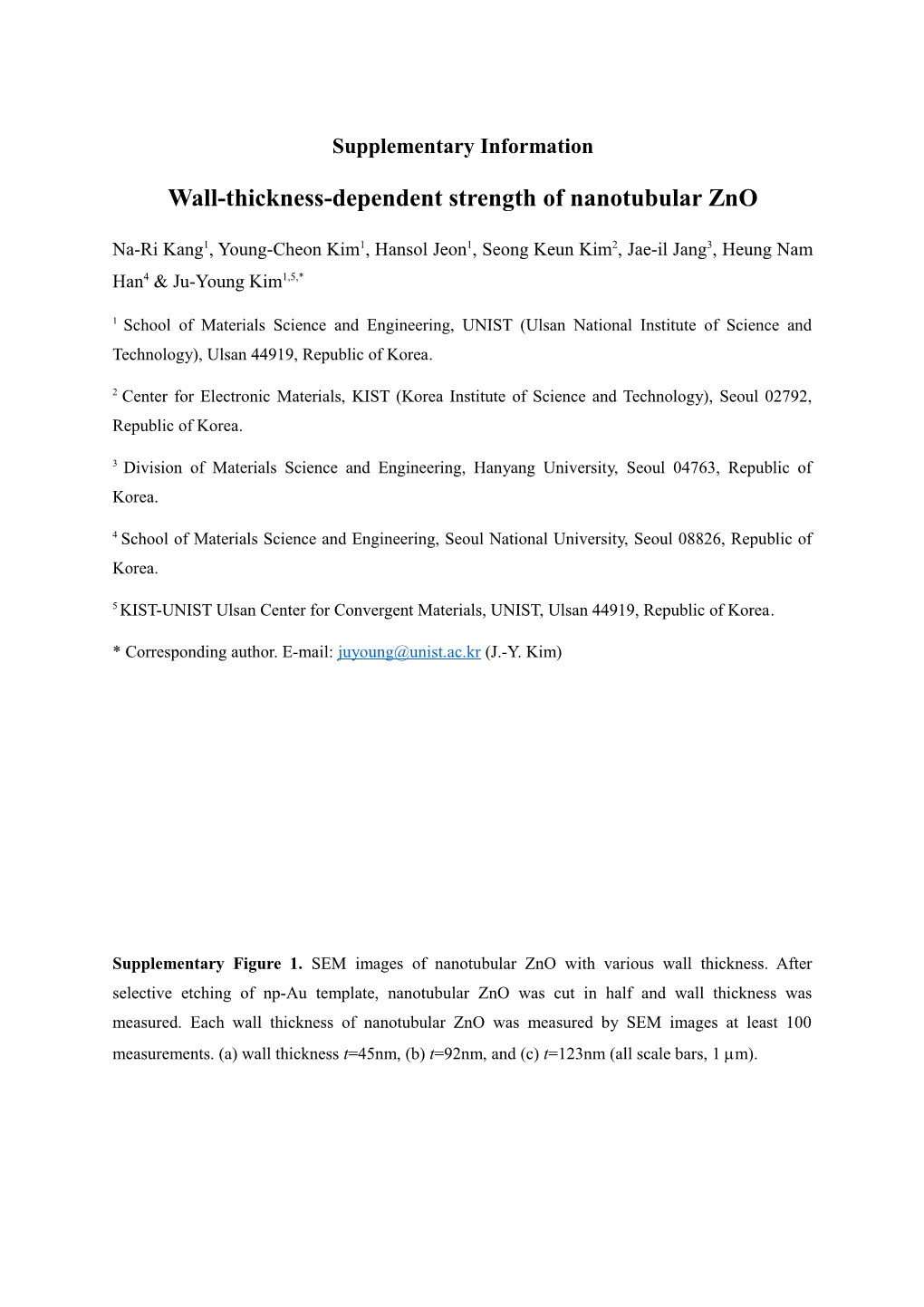 Wall-Thickness-Dependent Strength of Nanotubular Zno