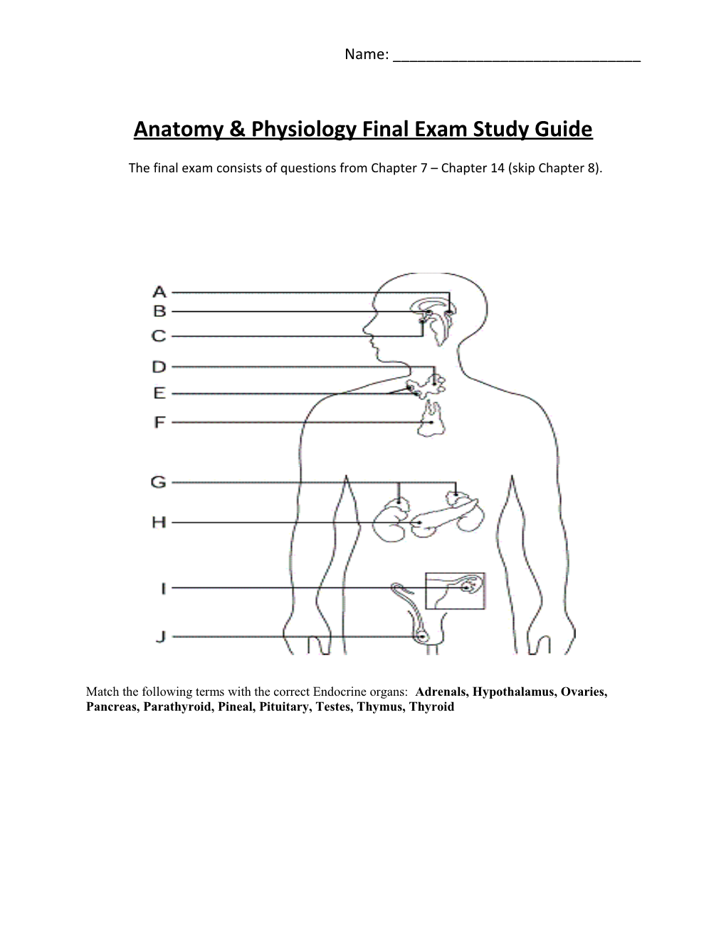 Anatomy & Physiology Final Exam Study Guide