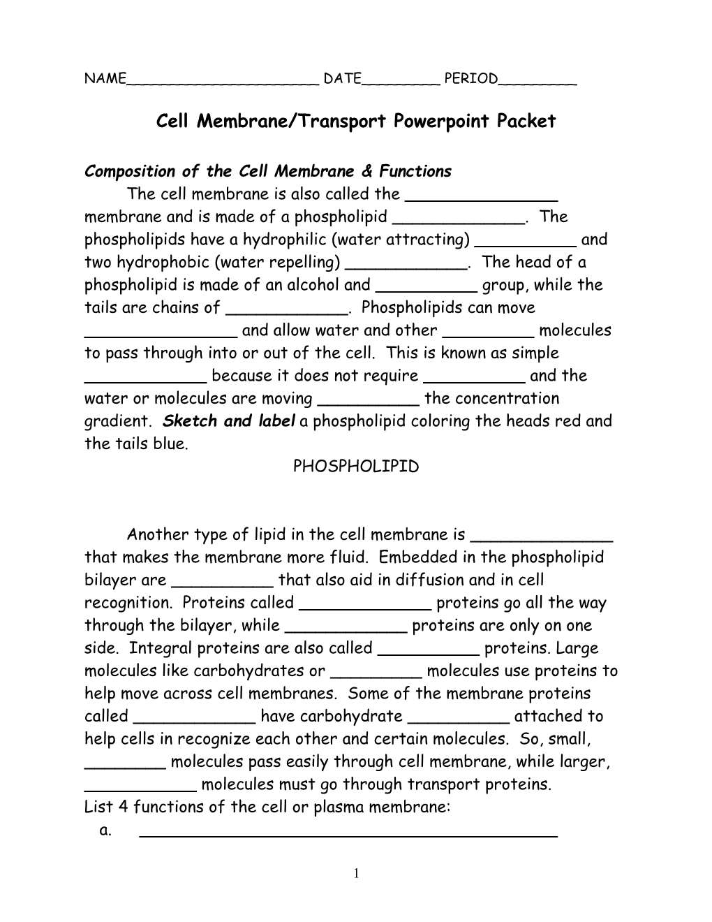 Cell Membrane/Transport Powerpoint Packet