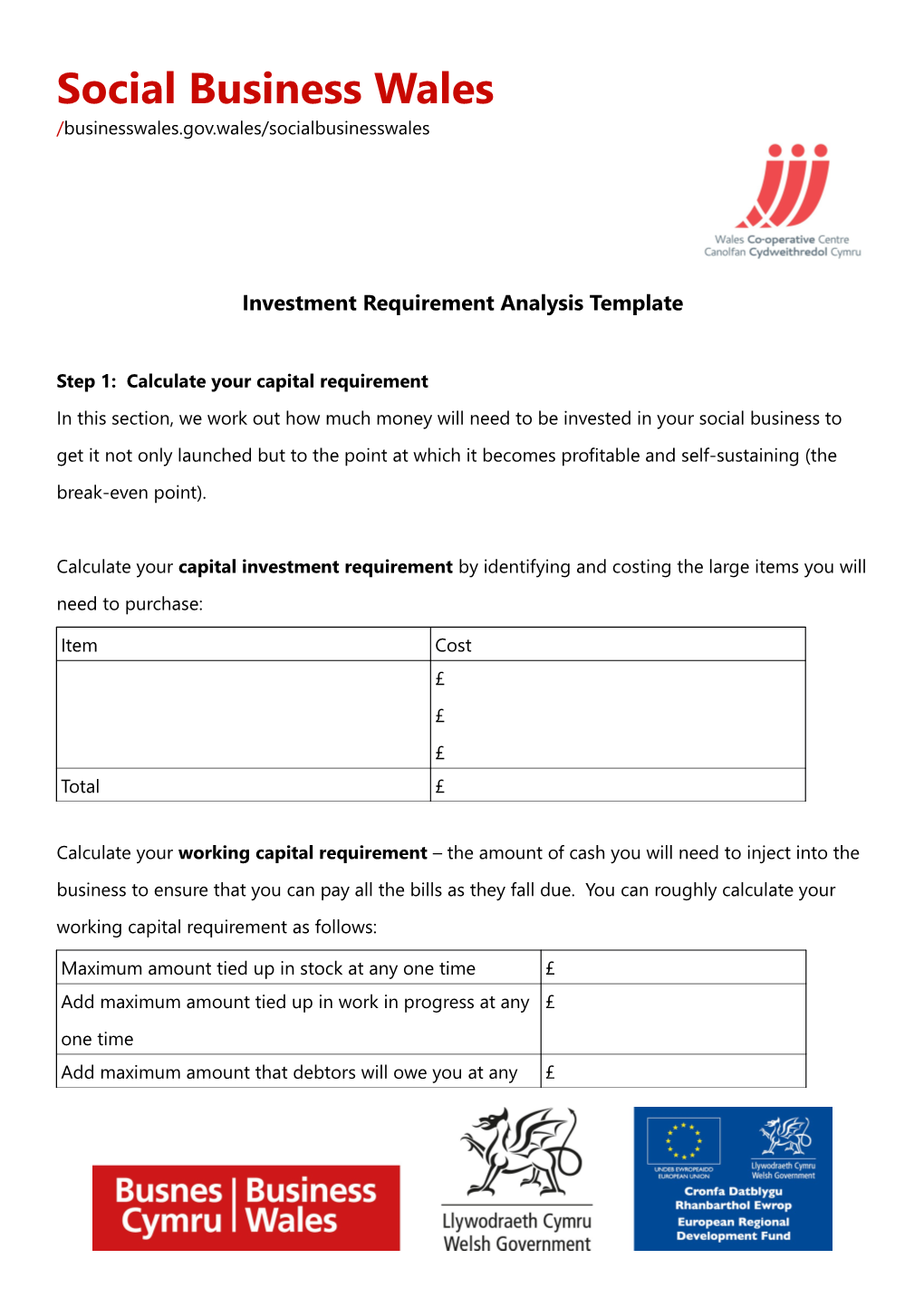 Investment Requirement Analysis Template