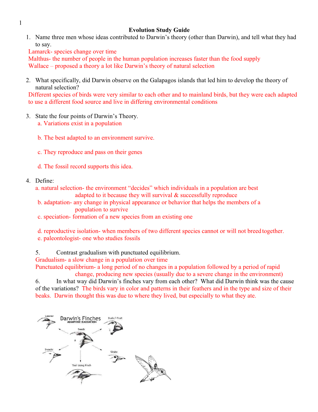 Evolution Study Guide