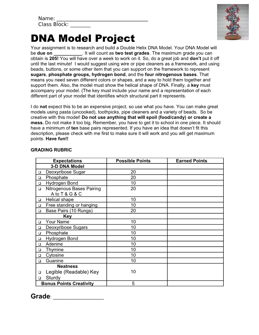 DNA Model Directions & Rubric