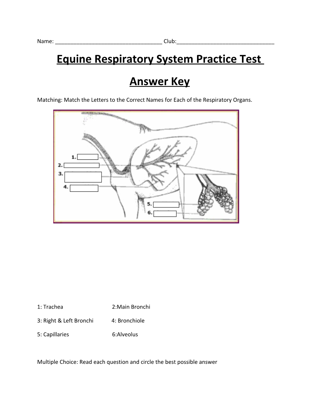 Equine Respiratory System Practice Test