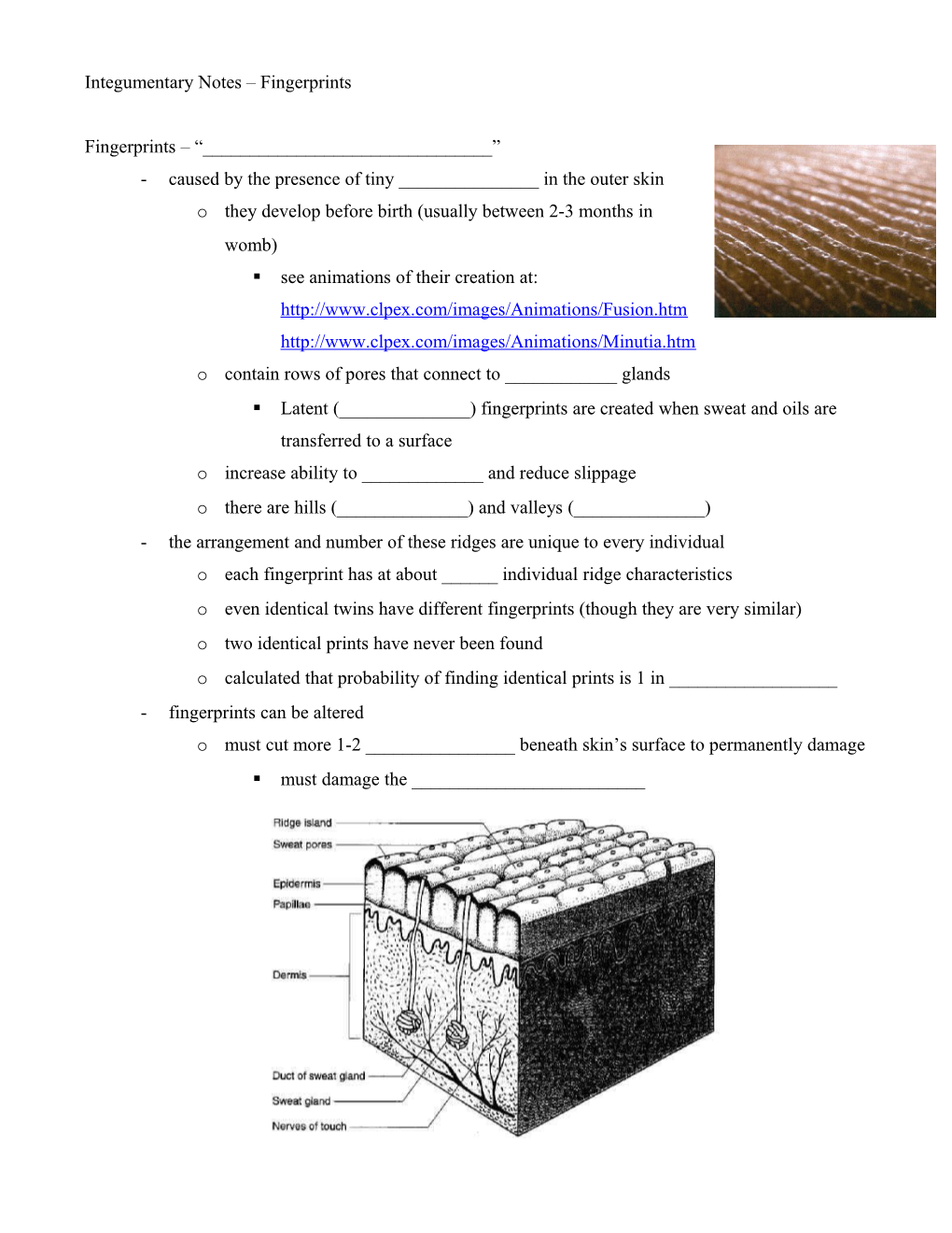 Fingerprints Notes Part I