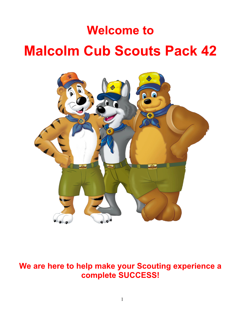 The Cub Scout Follows Akela