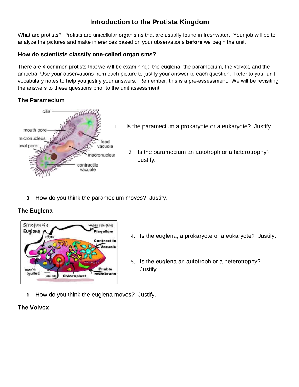 Introduction to the Protista Kingdom