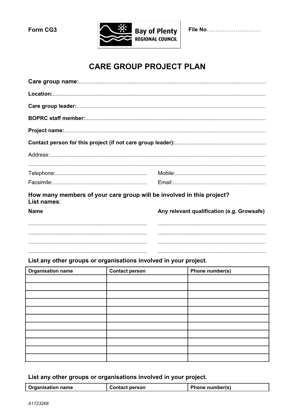 Care Group Project Plan