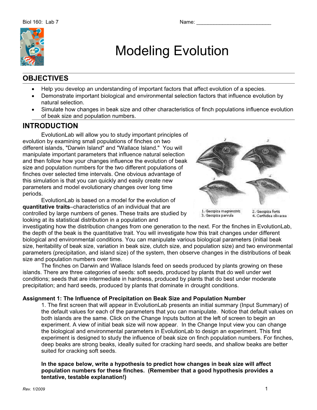 Modeling Evolution