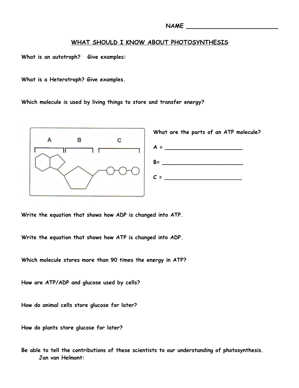 What Should I Know About Photosynthesis