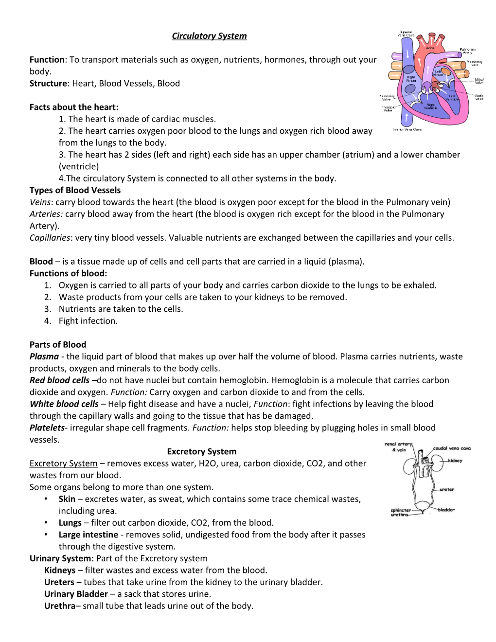 Function: to Transport Materials Such As Oxygen, Nutrients, Hormones, Through out Your Body